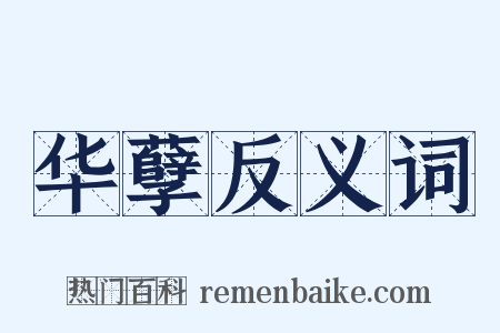 华孽反义词是什么意思的图片